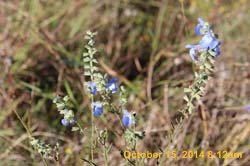IMG_0097
