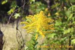 IMG_0103