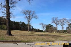IMG_0508