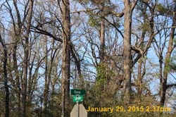 IMG_0513
