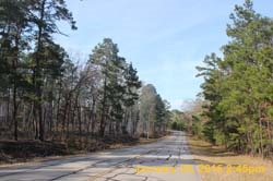 IMG_0520