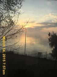 IMG_0499