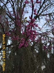 IMG_0629