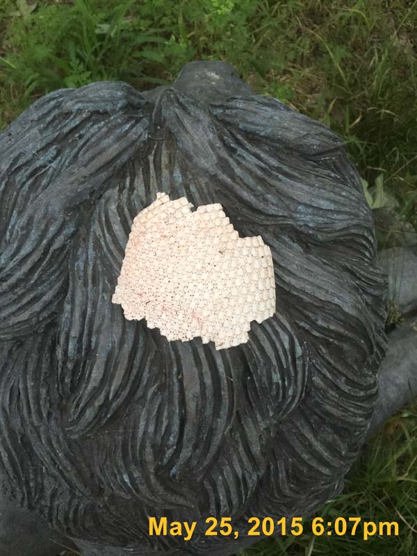 IMG_1917