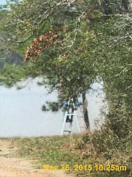 IMG_1930