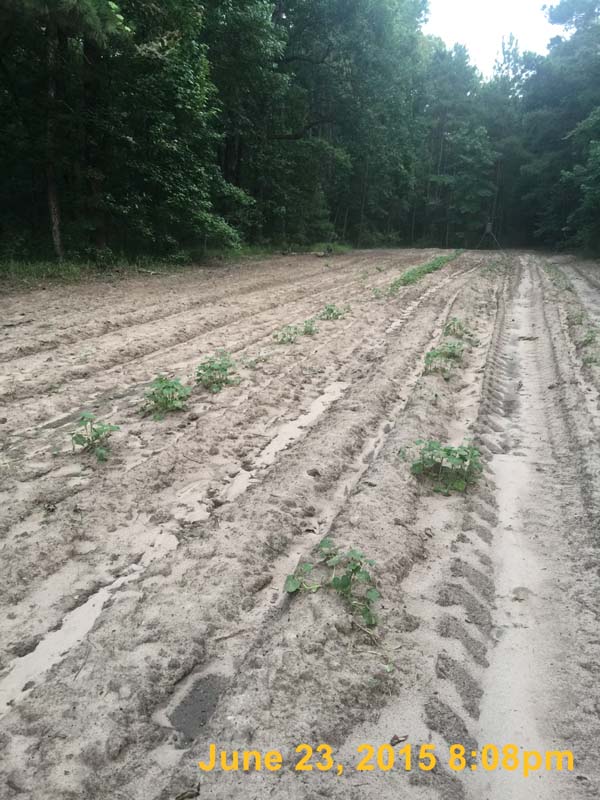 IMG_2566