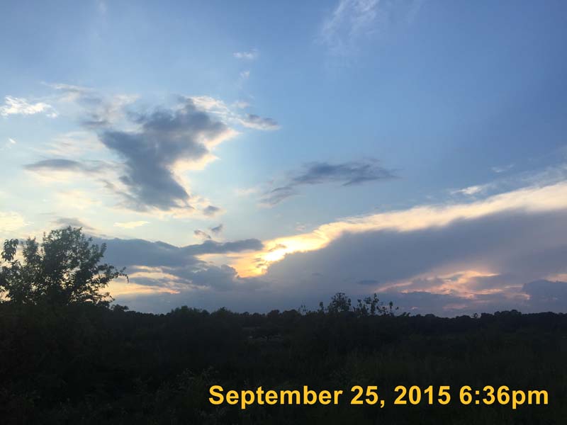 IMG_5711