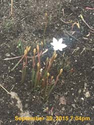 IMG_5885