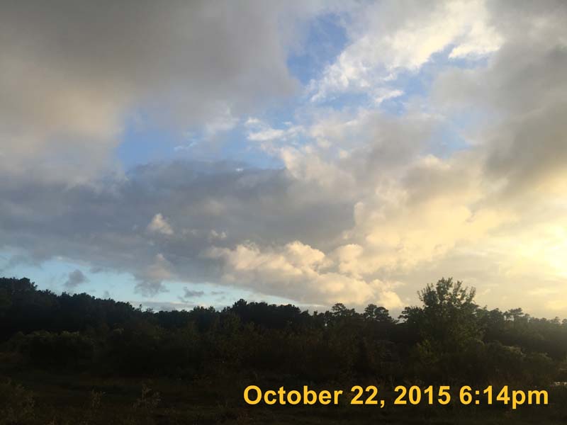 IMG_6301