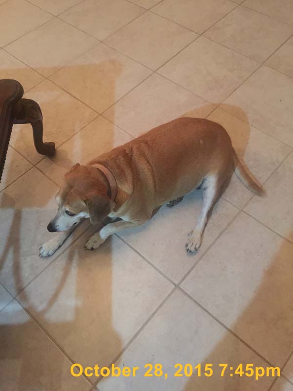 IMG_6472