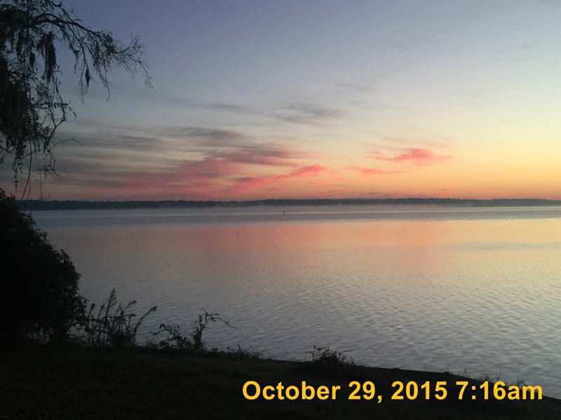 IMG_6474
