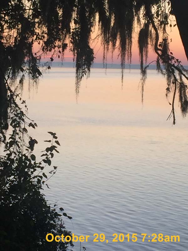 IMG_6483
