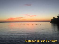 IMG_6407