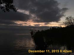 IMG_0331