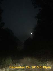 IMG_0775