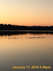IMG_1247