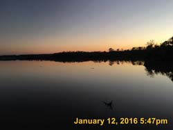 IMG_1268