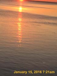IMG_1341