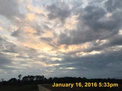 IMG_1390