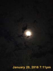 IMG_1561