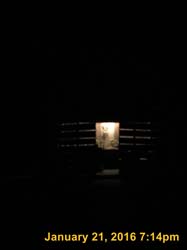 IMG_1593
