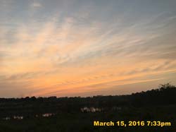 IMG_3368