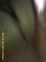 IMG_3463
