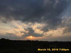 IMG_3484