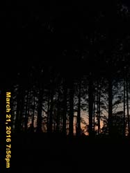 IMG_3690