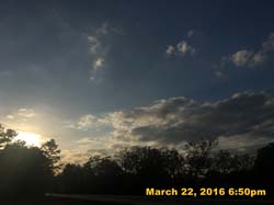 IMG_3705
