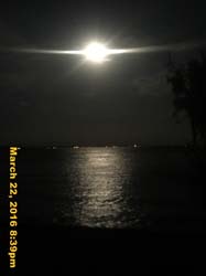 IMG_3719