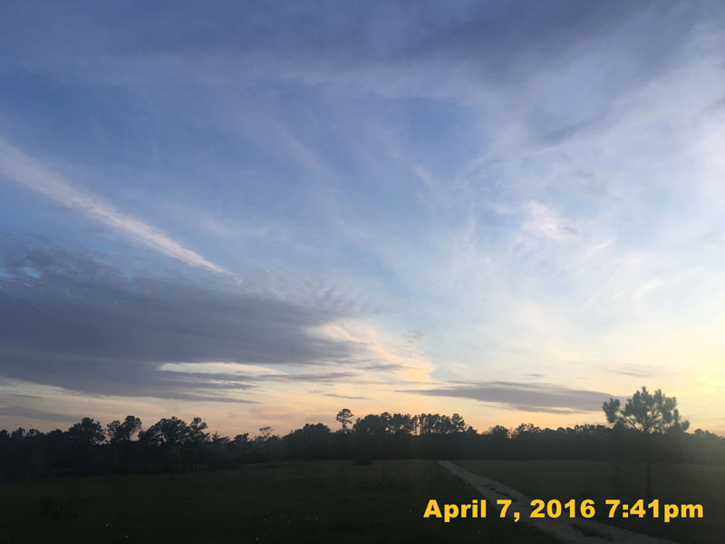 IMG_4230
