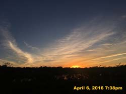 IMG_4201