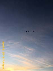 IMG_4205