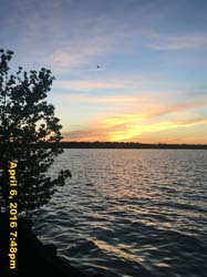 IMG_4207