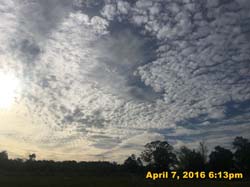 IMG_4219