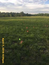 IMG_4220