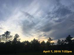 IMG_4224