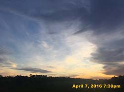 IMG_4229