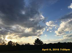 IMG_4301