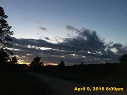 IMG_4320