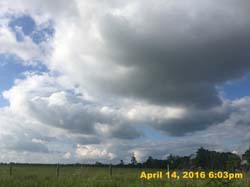 IMG_4480