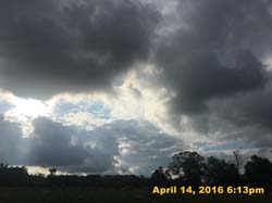 IMG_4483