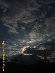 IMG_4488