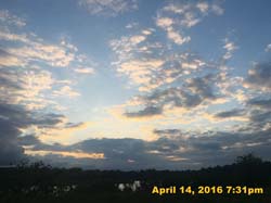 IMG_4512