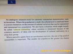 IMG_4575