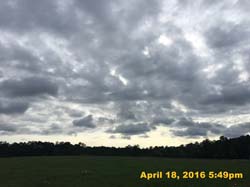 IMG_4652