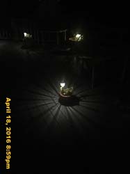 IMG_4667