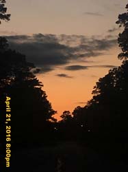 IMG_4807
