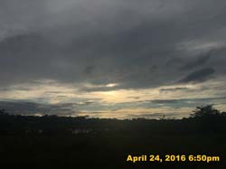 IMG_4971